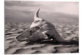 Gallery print Skull in the desert