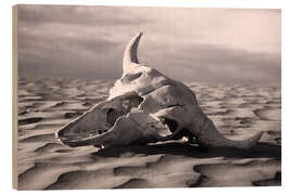 Trebilde Skull in the desert