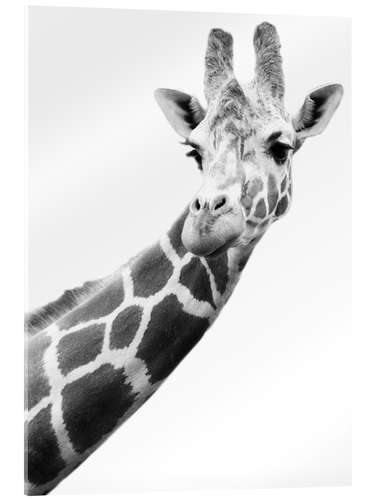 Akryylilasitaulu Giraffe in black and white