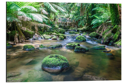 Tableau en aluminium Rivière dans la forêt tropicale verte de Tasmanie, Australie