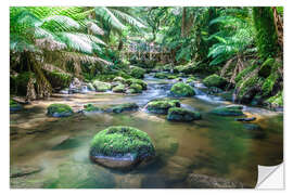 Sticker mural Rivière dans la forêt tropicale verte de Tasmanie, Australie