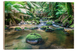 Puutaulu River in the green rainforest of Tasmania, Australia