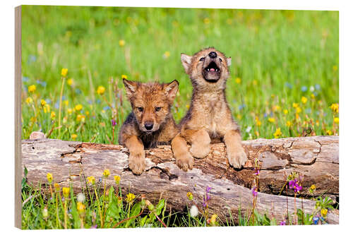 Wood print Wolf boys on a tree trunk