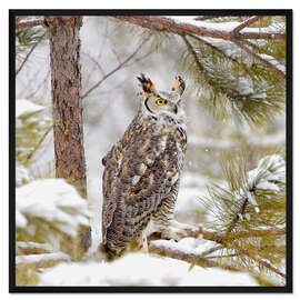 Gerahmter Kunstdruck Sumpfeule im Schnee
