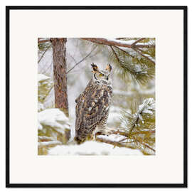 Gerahmter Kunstdruck Sumpfeule im Schnee