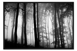 Gerahmter Kunstdruck Nebliger Wald