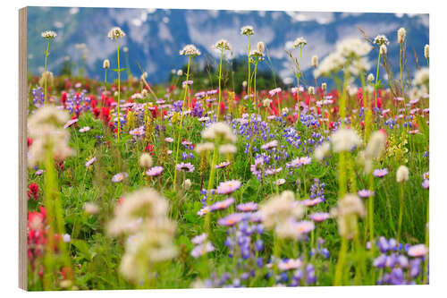 Stampa su legno Prato di fiori selvatici