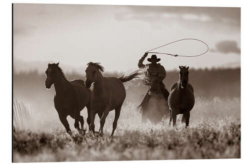 Aluminium print Cowboy of the horses catches