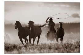 Foam board print Cowboy of the horses catches