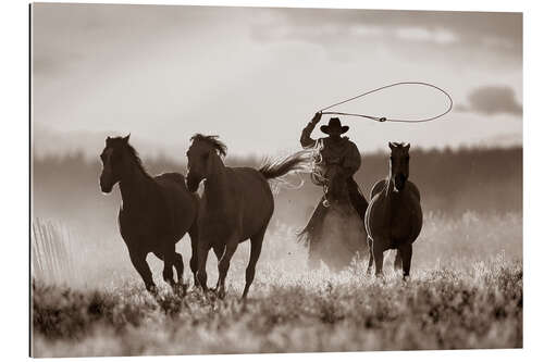 Gallery print Cowboy of the horses catches