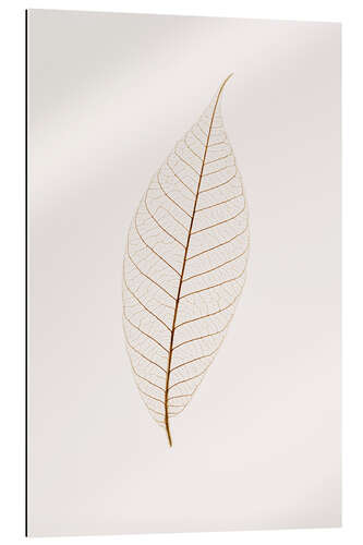 Galleritryk Transparent Leaf