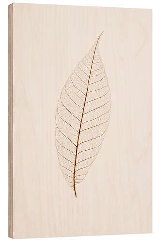 Quadro de madeira Transparent Leaf