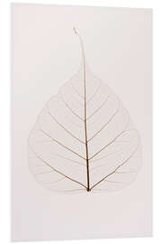 Stampa su PVC Transparent Leaf