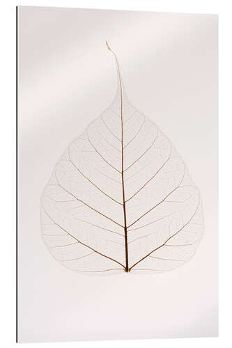 Galleritryk Transparent Leaf