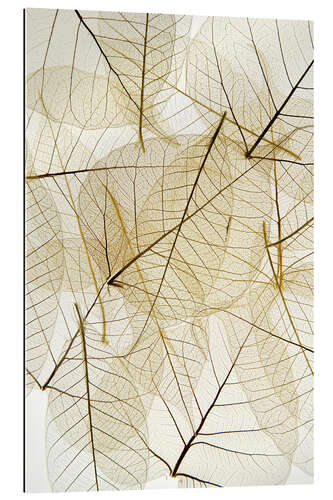 Quadro em plexi-alumínio Layered Leaves