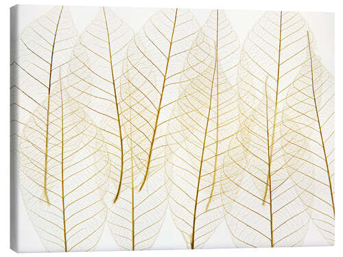 Canvas print Layered Leaves