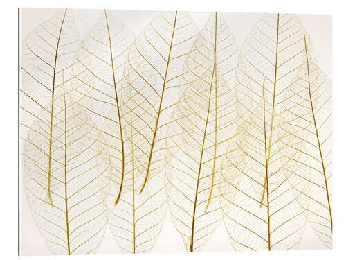 Gallery print Layered Leaves