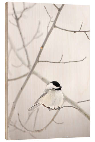 Wood print Bird on a branch