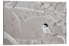Magnettafel Kleiner Vogel auf einem Zweig