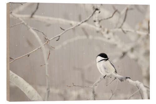 Wood print Small Bird On Tree Branch