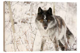 Wood print Wolf In The Snow