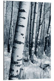 Aluminium print Winter Forest