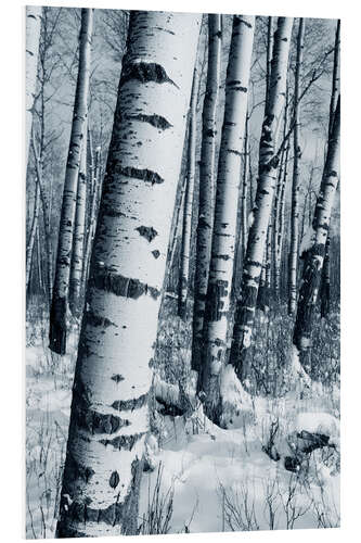 Foam board print Winter Forest