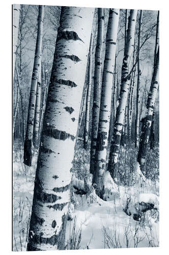 Gallery print Winter Forest