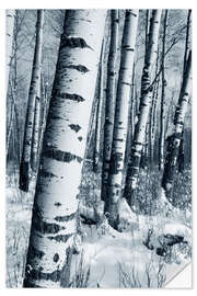 Naklejka na ścianę Winter Forest