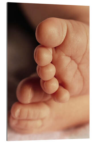 Gallery print Baby's Feet