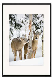 Gerahmter Kunstdruck Rehe im Winterwald