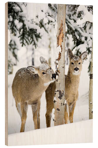 Wood print Deers in a winter forest