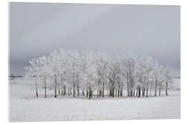 Tableau en verre acrylique Oasis dans la neige