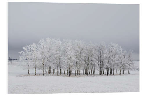 Stampa su PVC Trees in a field