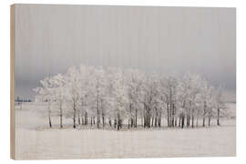 Wood print Trees in a field