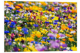 Foam board print Wildflowers