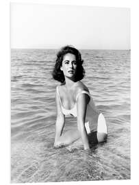 Foam board print Elizabeth Taylor - Suddenly Last Summer