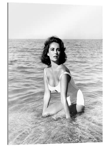 Quadro em plexi-alumínio Elizabeth Taylor - Suddenly Last Summer