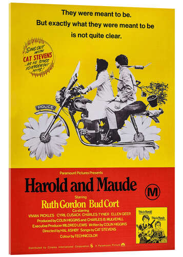 Akrylbilde Harold and Maude