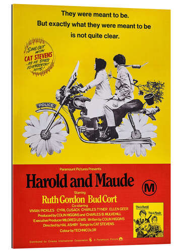 Quadro em plexi-alumínio Ensina-me a viver - Harold and Maude (inglês)