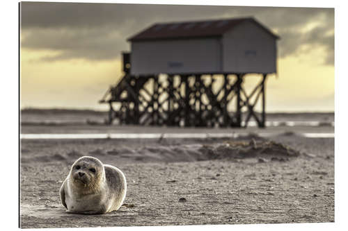 Galleritryck Robbe in St Peter Ording