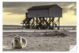 Sticker mural Robbe in St Peter Ording