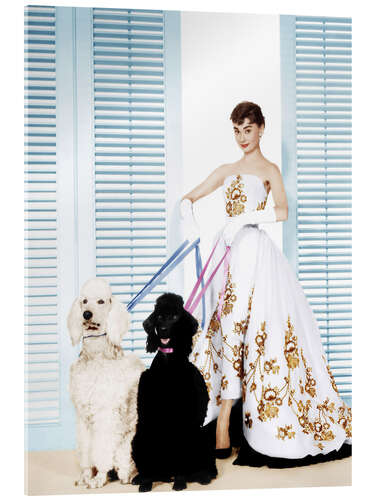 Acrylic print Sabrina, Audrey Hepburn