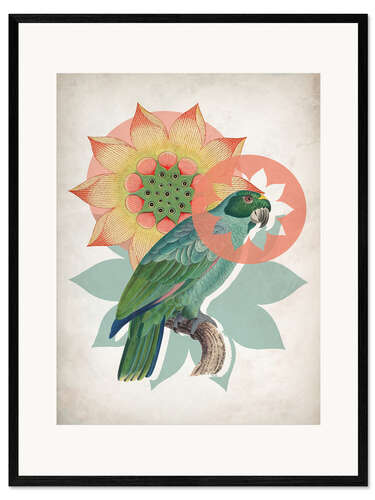 Inramat konsttryck Vintage Parrot