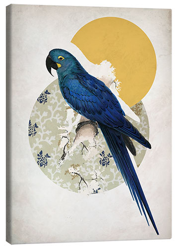 Canvas print Vintage Macaw