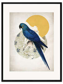 Ingelijste kunstdruk Vintage Macaw