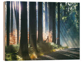 Holzbild Wald im Morgenlicht