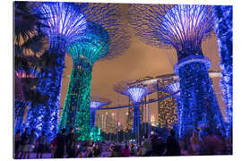 Gallery print Supertrees, Singapore, Asia