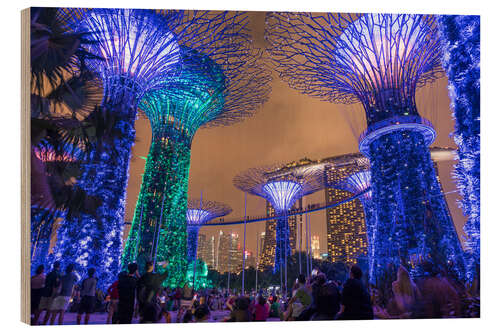 Wood print Supertrees, Singapore, Asia
