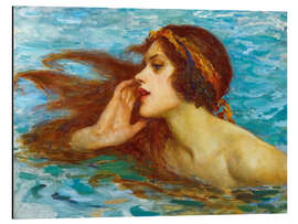 Magnettafel Kleine Meerjungfer